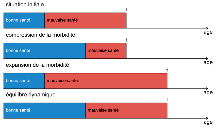 Chart, bar chart

Description automatically generated